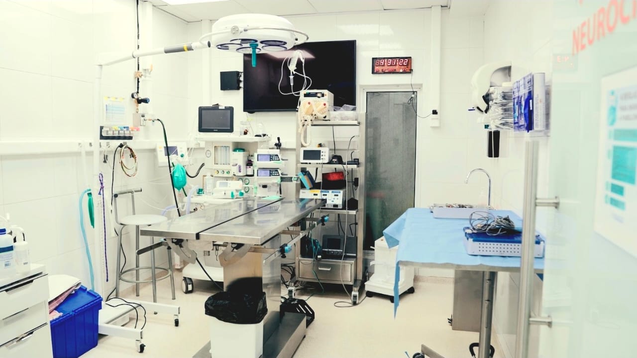 Imagen de vista previa